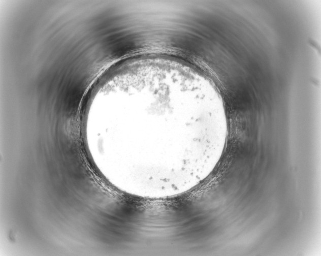 X0000093410828200711020953