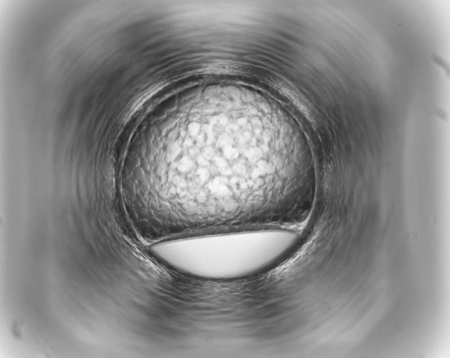 X0000093410829200711020953