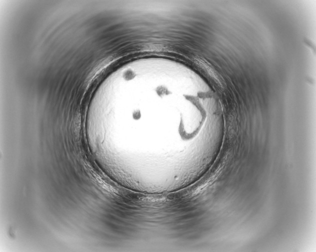 X0000093410831200711020953