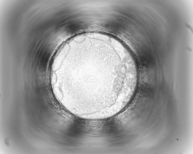 X0000093410832200711020953