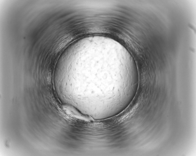 X0000093410833200711020953