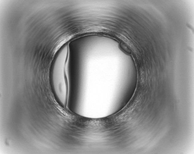 X0000093410834200711020953