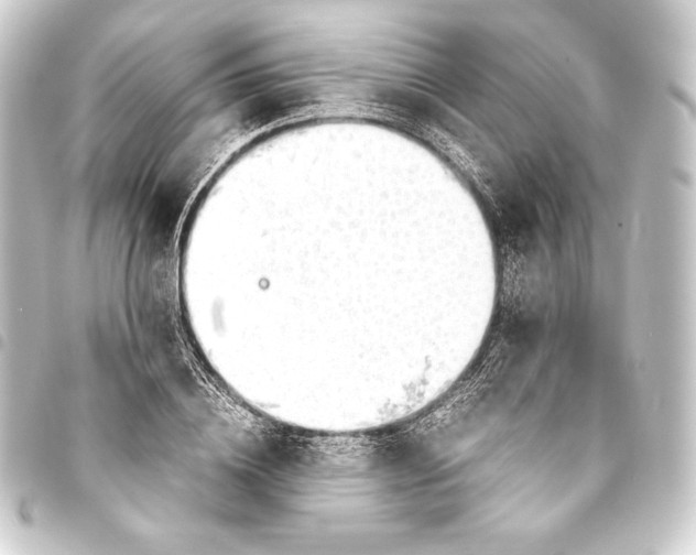 X0000093410836200711020953