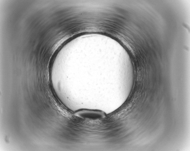 X0000093410837200711020953