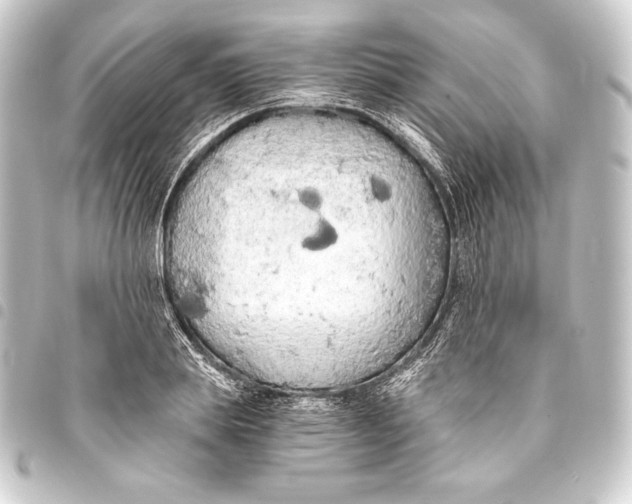 X0000093410839200711020953