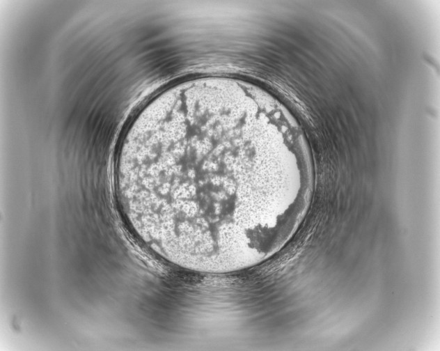 X0000093410840200711020953