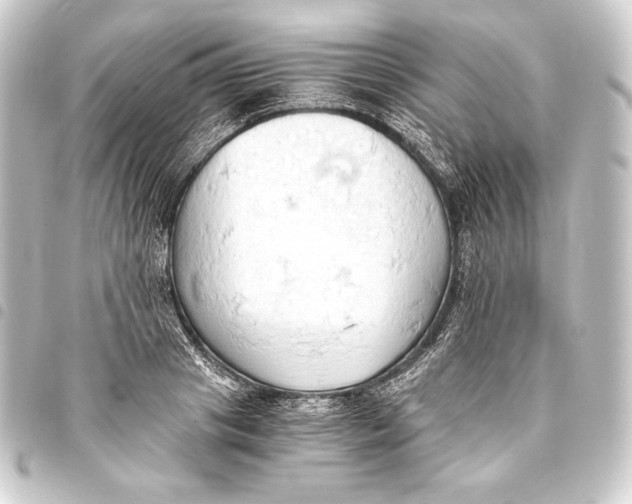 X0000093410841200711020953