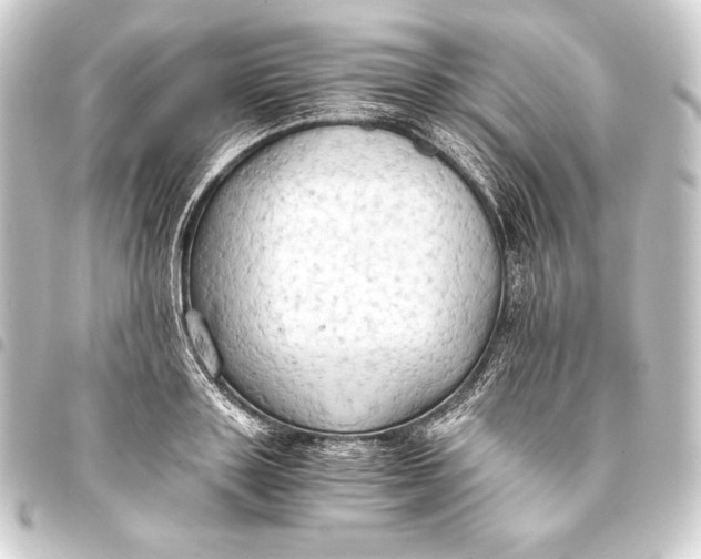 X0000093410843200711020953