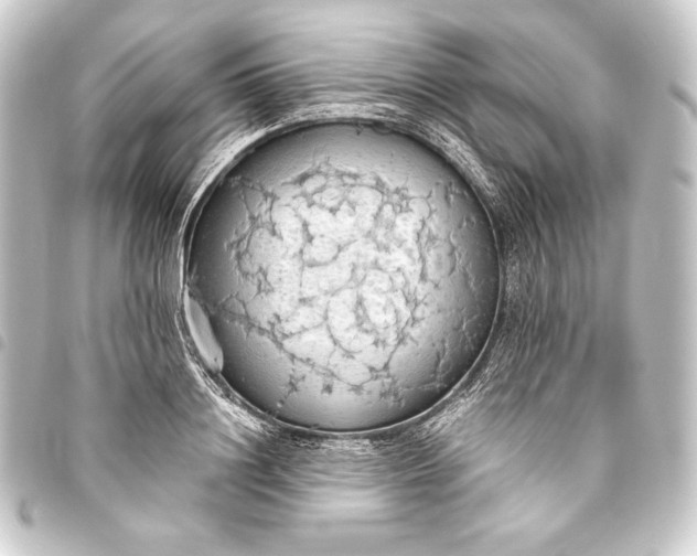 X0000093410844200711020953