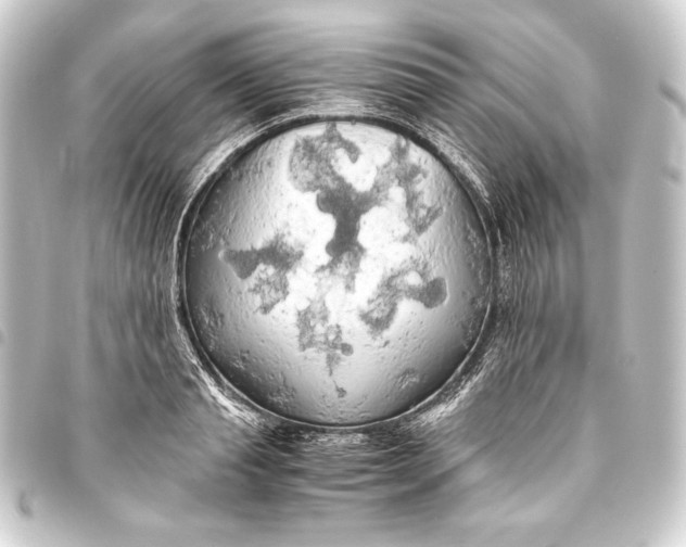 X0000093410845200711020953