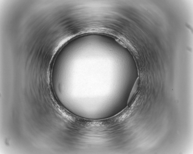 X0000093410846200711020953