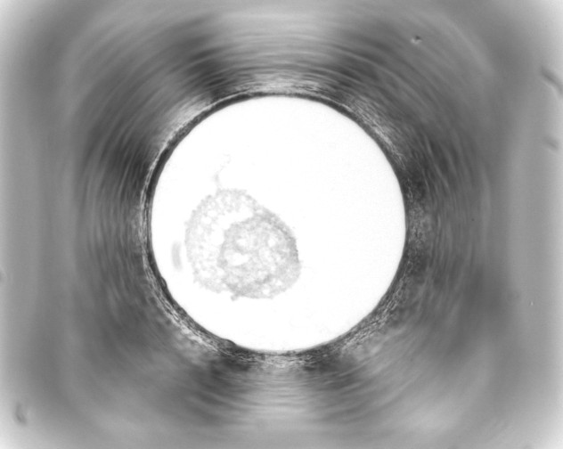 X0000093410848200711020953