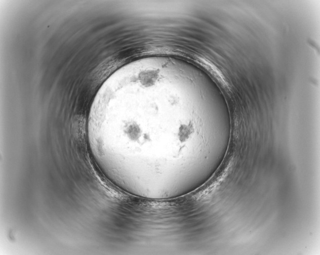 X0000093410849200711020953