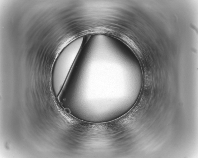 X0000093410850200711020953