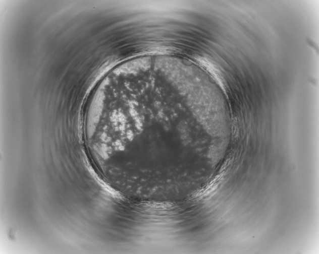 X0000093410851200711020953