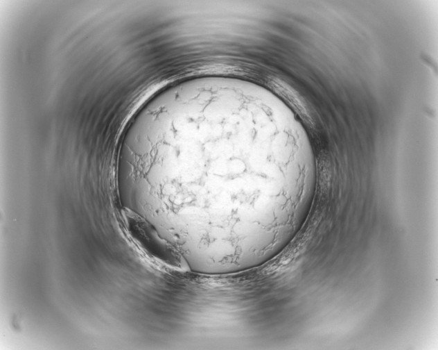 X0000093410852200711020953