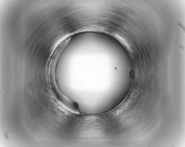 X0000093410854200711020953