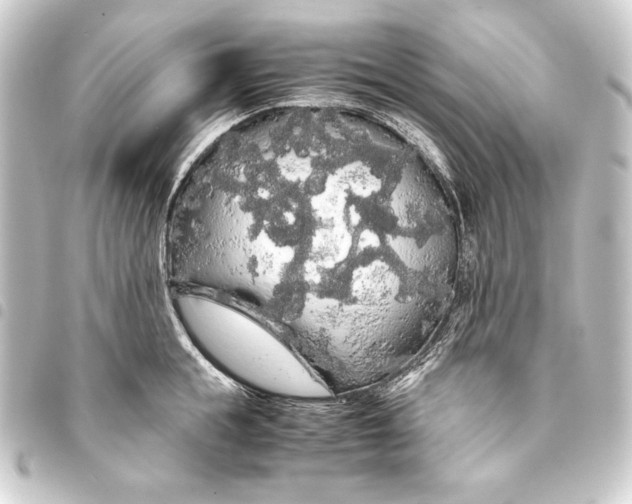 X0000093410855200711020953