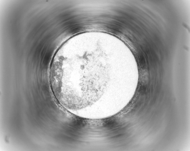 X0000093410856200711020953