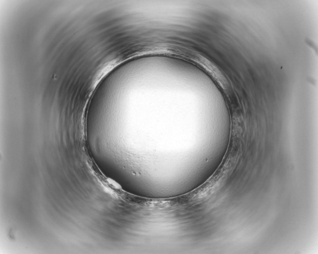 X0000093410858200711020953