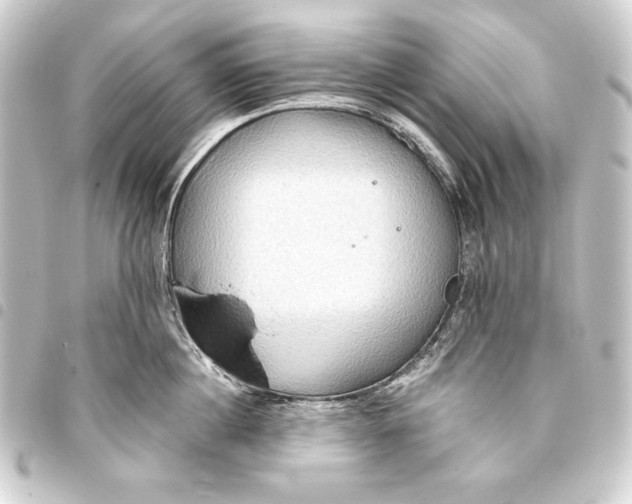 X0000093410860200711020954