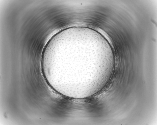 X0000093410861200711020954