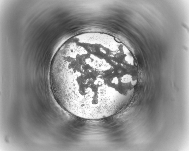 X0000093410863200711020954