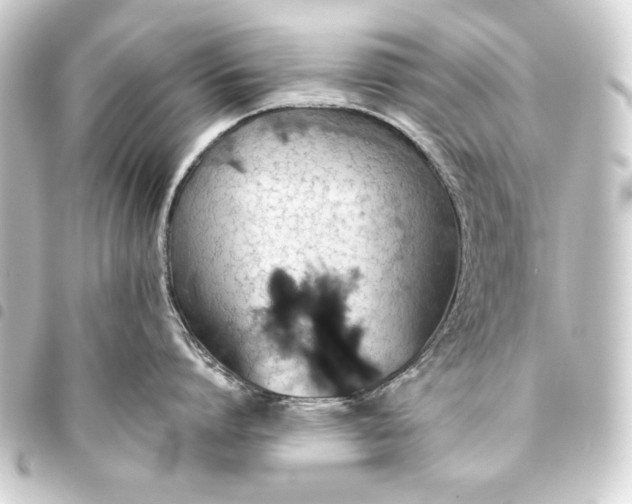 X0000093410864200711020954