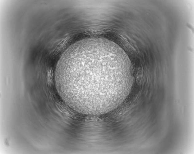 X0000093410866200711020953