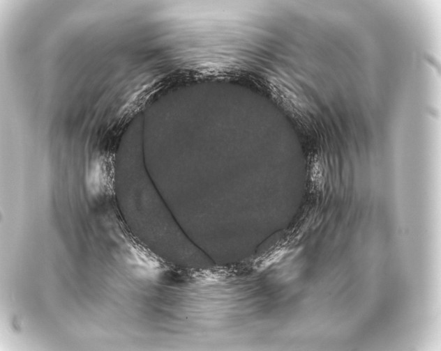 X0000093410868200711020953