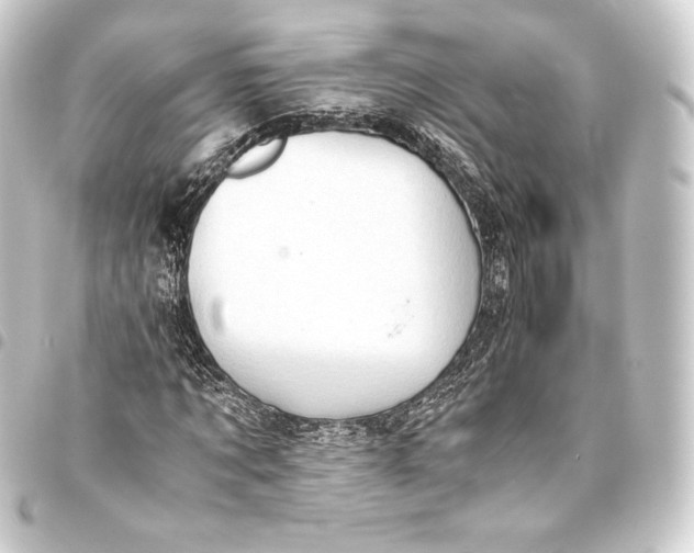 X0000093410869200711020953