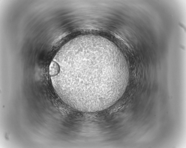 X0000093410870200711020953