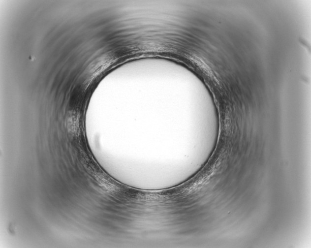 X0000093410873200711020953