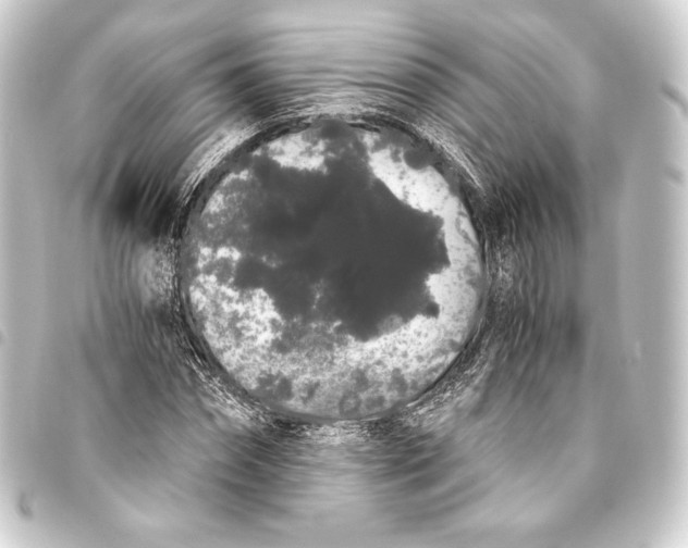 X0000093410874200711020953