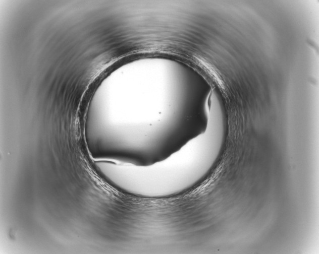 X0000093410876200711020953