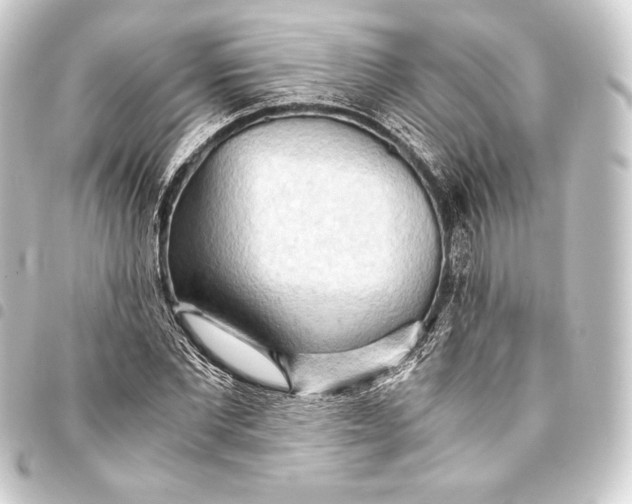 X0000093410877200711020953