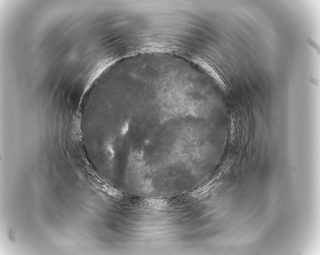 X0000093410878200711020953