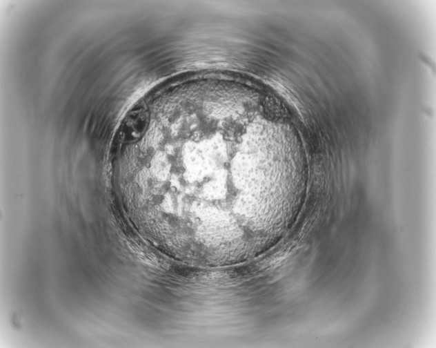 X0000093410879200711020953