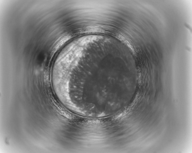 X0000093410882200711020953