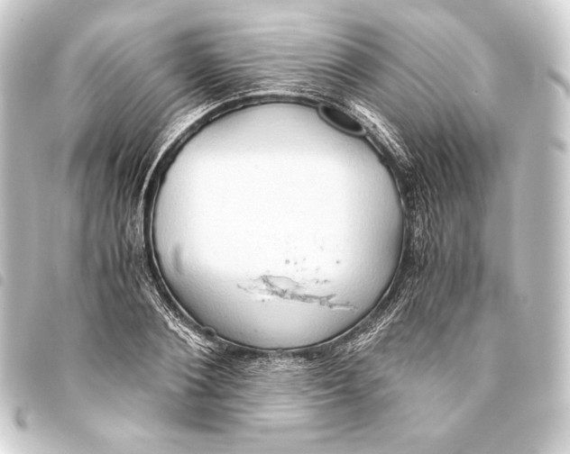 X0000093410884200711020953