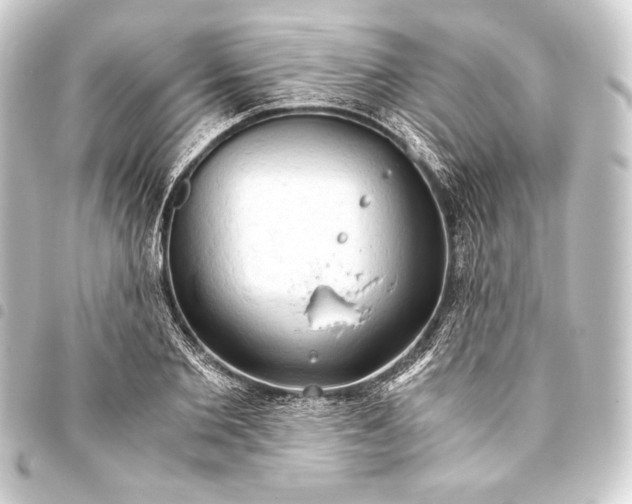 X0000093410885200711020953