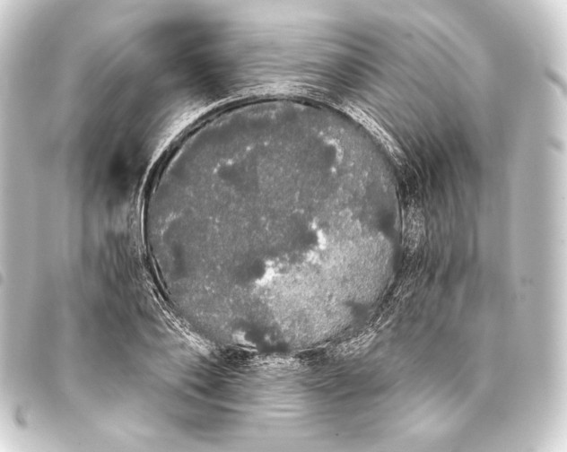 X0000093410886200711020953