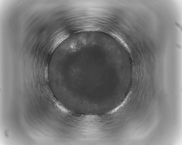 X0000093410889200711020953