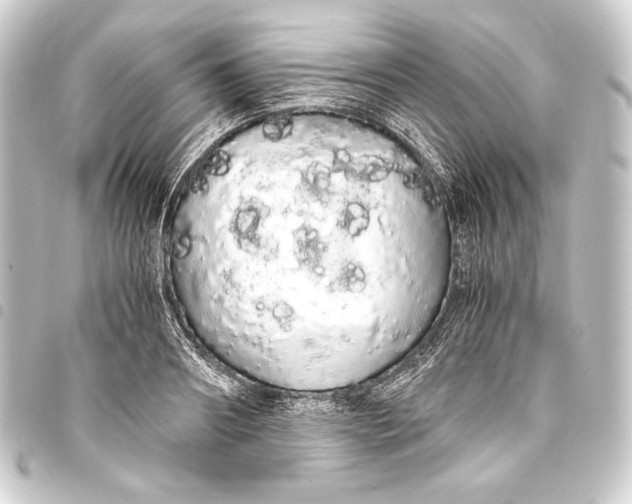 X0000093410890200711020953