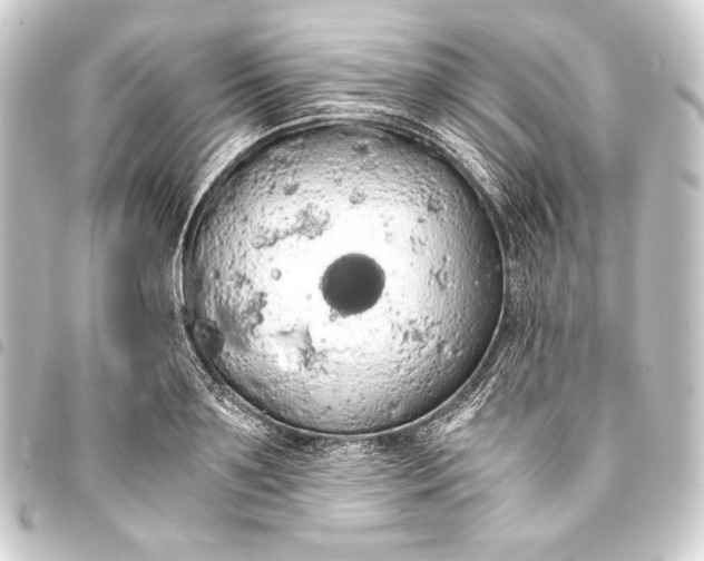 X0000093410891200711020953