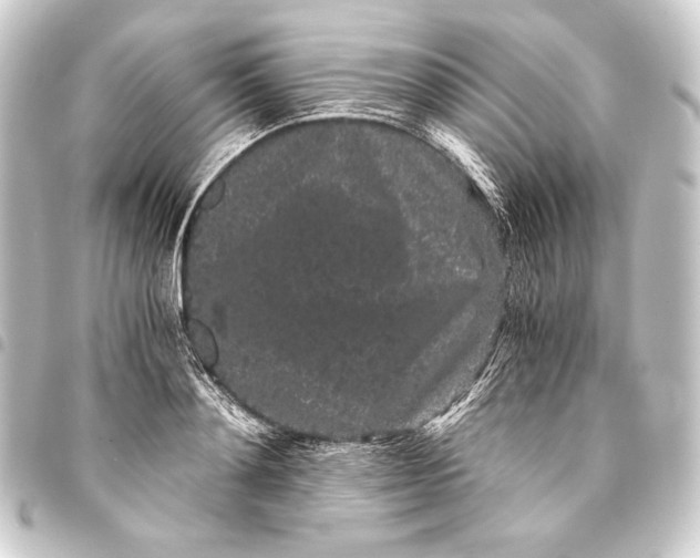 X0000093410892200711020953