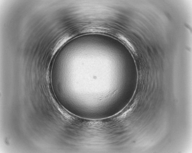 X0000093410893200711020953