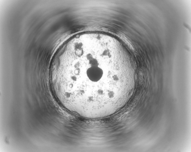 X0000093410895200711020953