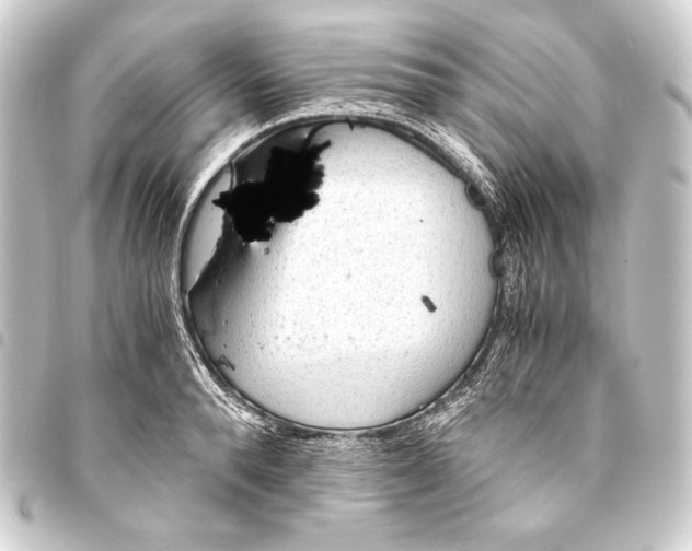 X0000093410896200711020953