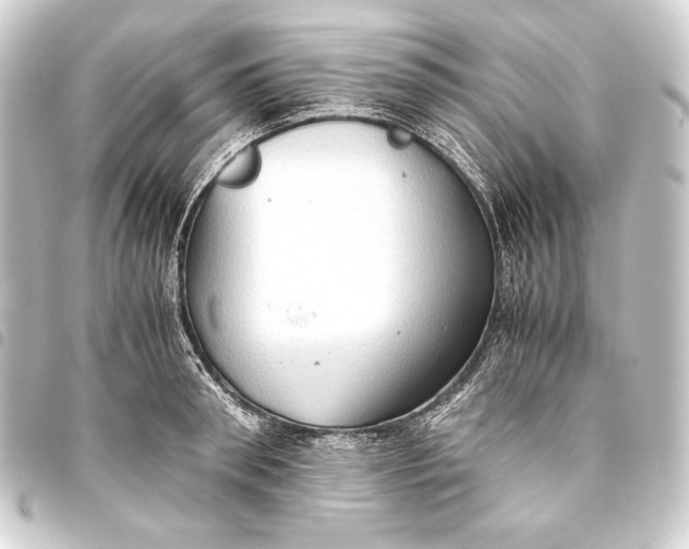 X0000093410898200711020953